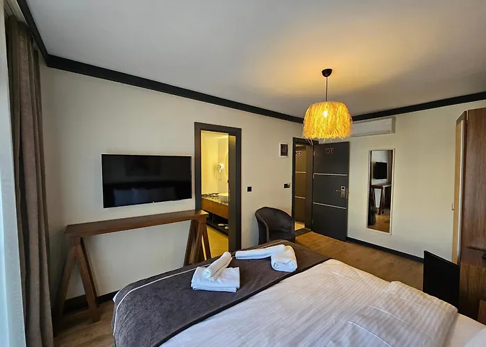 Er Turistik Hotel Dikili